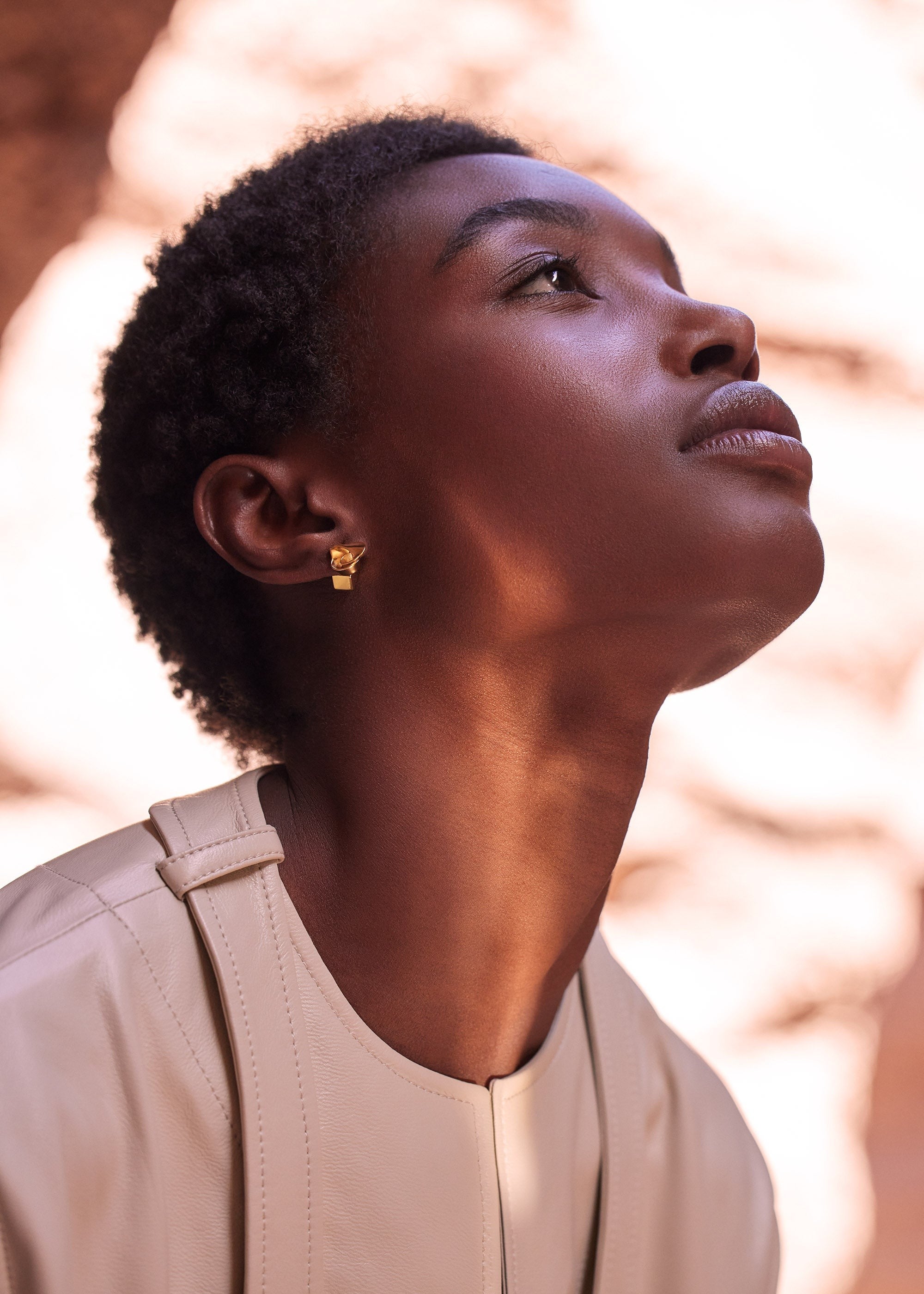 Stud Earrings - 24 carat gold gilded