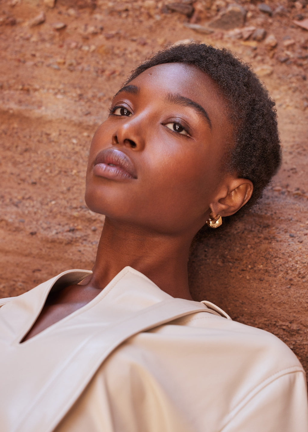 Stud Earrings - 24 carat gold gilded