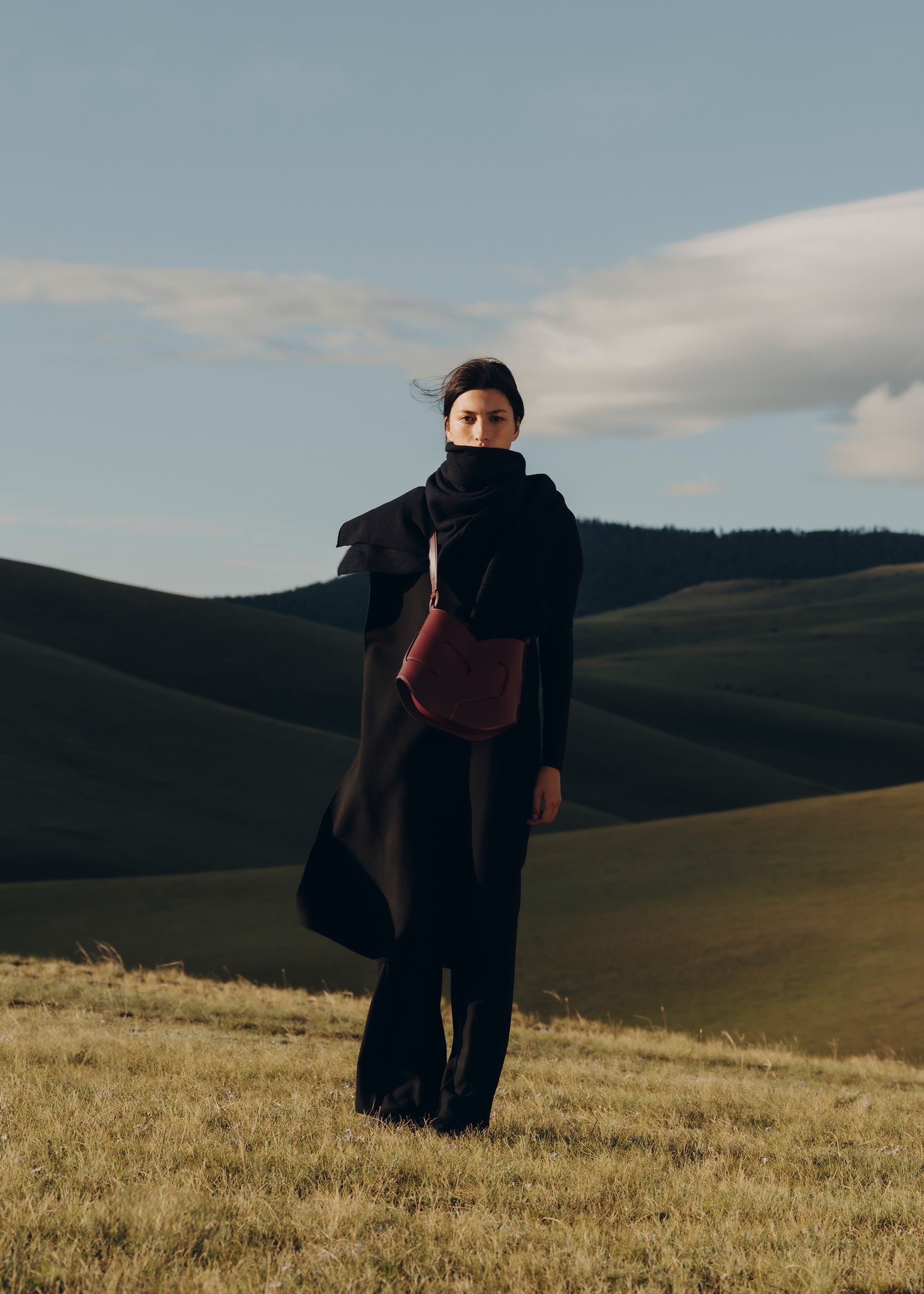 Handbag - Smooth Black Cherry